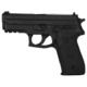 Blueguns SIG Sauer P229R Training Handgun, Not Weighted, No Light/Laser Attachment, Black, FSP229RB