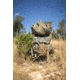BOG Hunting 6000 ci Bivy Bags, 1159189