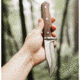 Boker Drop Fixed Blade Walnut