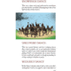 Books Natve American Survival Skills by Stephen Brennan, 978-1-63220-717-3