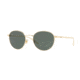 Brooks Brothers BB4043S Bifocal Prescription Sunglasses BB4043S-100171-52 - Lens Diameter 52 mm, Frame Color Gold