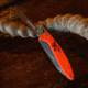 Browning Primal 2 Blade Folding Knife, 2.75in, HRC 50-55/HRC 55-59, Drop Point/Scalpel, Composite Handle, N, 3220462