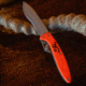 Browning Primal 2 Blade Folding Knife, 2.75in, HRC 50-55/HRC 55-59, Drop Point/Scalpel, Composite Handle, N, 3220462