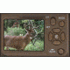 BTC 7FHDP RECON FORCE FHD 10MP 8AA