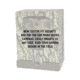 Browning Trail Cameras Security Box BTC SB
