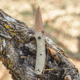 Browning Trailside Folding Knife, 3in, D2 High Carbon Steel, Drop Point, G10 Handle, N, 3220516