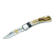 Buck Knives Wbc Bearclaw Foldinghunter Box - 10EKSLE24878