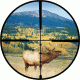 Burris Ballistic Plex Reticle