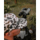 Bushnell R7 15x56mm ED Abbe-Koenig Prism Binoculars