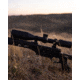 Bushnell R7 4-20x50mm ED Rifle Scope, Second Focal Plane