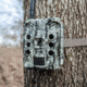 Bushnell CelluCore 30mp Verizon No Glow Treebark Trail Cam, Camo, Box, 119902V