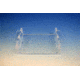 C.B.S. Scientific Uv Transparent Gel Tray 8cm WGT-1408, Unit EA