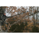 Hooyman 10 Foot Extendable Tree Saw, 655227