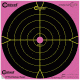 Caldwell Orange Peel 12-in Bullseye Targets, 5 Sheets, Pink 317536