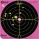 Caldwell Orange Peel 12-in Bullseye Targets, 5 Sheets, Pink 317536