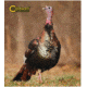 Caldwell The Natural Series Shooting Target Kit - Turkey w/Replacement Vitals &amp; Sight-ins 800234