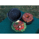 Camp Chef Ultimate Seasoned Cast Iron Dutch Oven, 9.5quart Dutch Oven UDO14CC