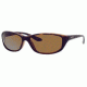 Carrera 903 Sunglasses - Tortoise Frame, Brown Polarized Lenses CA903S01V4RB
