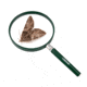 Carson BigEye 2.5x 5in Acrylic Hand Magnifier, Outdoor Green HU-20