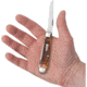 Case Mini Trapper Brown Peach Seed Folding Knife, 3.5in Closed, Mirror Clip/Spey Blades, Brown Peach Seed Jigged Bone Handle, 42652