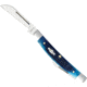 Case Sm Congress Blue Bone