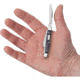 Case Small Stockman Purple Maple Folding Knife, 2.63in Closed, Mirror Clip/Sheepsfoot/Pen Blades, Purple Curly Maple Handle, 80547