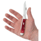 Case Copperhead Folding Knife, 3.88 in, Chrome Vanadium Steel, Dark Red Bone Peach Seed Jig Handle, 31953