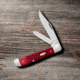 Case Copperhead Folding Knife, 3.88 in, Chrome Vanadium Steel, Dark Red Bone Peach Seed Jig Handle, 31953