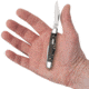 Case Half Whittler Folding Knife, 3.25 in, Tru-Sharp Surgical Steel, Black Sycamore Wood Smooth Handle, 25571
