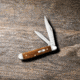 Case Peanut Folding Knife, 2.88 in, Tru-Sharp Surgical Steel, Smooth Antique Bone Handle, 58201