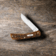 Case Sod Buster Jr Folding Knife, 3.63 in, Chrome Vanadium Steel, Amber Bone Peach Seed Jig Handle, 30092