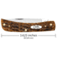 Case Sod Buster Jr Folding Knife, 3.63 in, Chrome Vanadium Steel, Amber Bone Peach Seed Jig Handle, 30092