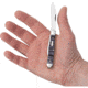 Case Swell Center Jack Purple Maple Folding Knife, 3in Closed, Mirror Clip/Pen Blades, Purple Curly Maple Handle, 80543