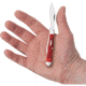 Case Swell Center Jack Red Bone