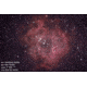 Celestron CGX-L 1100 Rowe-Ackermann Schmidt Astrograph Telescope, 12074