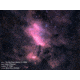 Celestron CGX-L 1100 Rowe-Ackermann Schmidt Astrograph Telescope, 12074