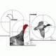 Champion Target Duck &amp; Turkey Patterning Targets