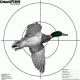 Champion Traps and Targets Duck Patterning Target (3pk)