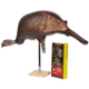 Cherokee Jill the Hen Inflatable Decoy, 881