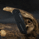 CJRB Riff Button Lock Black