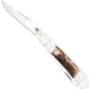 Cobratec Knives Cobratec Trapper Two Blade G-10 Stag/ss Slip Joint