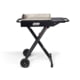 Coleman Roadtrip 19in Griddle, Black, CM1010910003-2