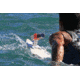 Contour Surf-Wake Mount 3500