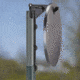 Copper Ridge Outdoors T-Post Target Hanger, Black SH5009CR