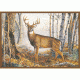 Custom Printed Rugs Rug, Whitetail Deer WHITETAIL