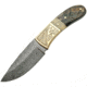 Damascus Hunter Horn Fixed Blade Knife, 3.5in, Damascus Steel, Drop Point, Ram Horn Handle, DM1084