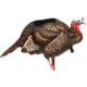 Dave Smith Decoys 3/4 Strut Jake Decoy