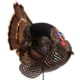 DEMO, Dave Smith Decoys Jake Strutter Decoy, Standard, JST