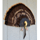 Dead Deer Iron Turkey Mount, Grey TBAM6