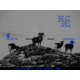 DEMO, Pulsar PL76338 DIGISIGHT N960 LRF SCP
